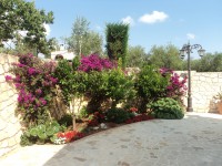 /album/villa-selva/dsc05651-jpg/